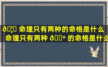 🦆 命理只有两种的命格是什么（命理只有两种 🐺 的命格是什么意思）